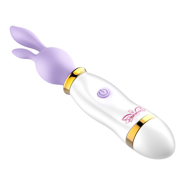 vibrator