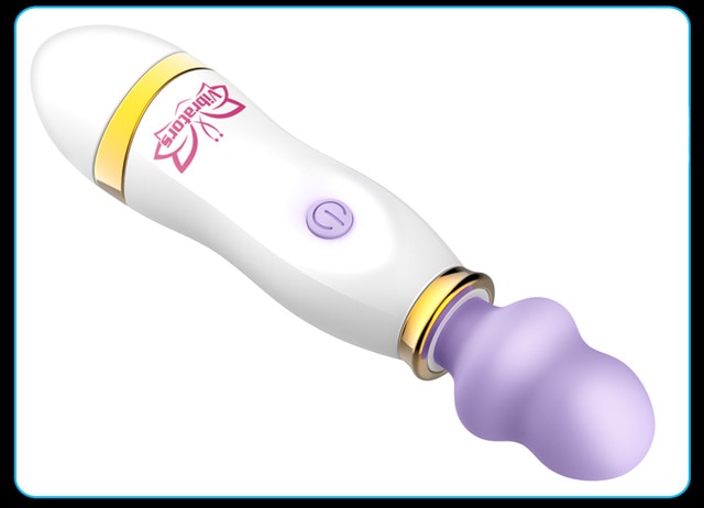 vibrator